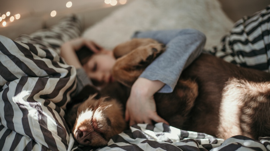 Av de tillfrågade uppgav mer än hälften, 55 procent av kvinnorna, att de delade säng med minst en hund.  Foto: Shutterstock